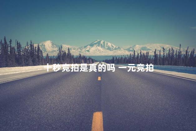 十秒竞拍是真的吗 一元竞拍